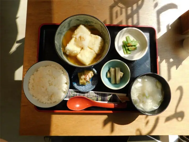 Beautiful Fall Roses - See Retro Tokyo On The Arakawa Line!