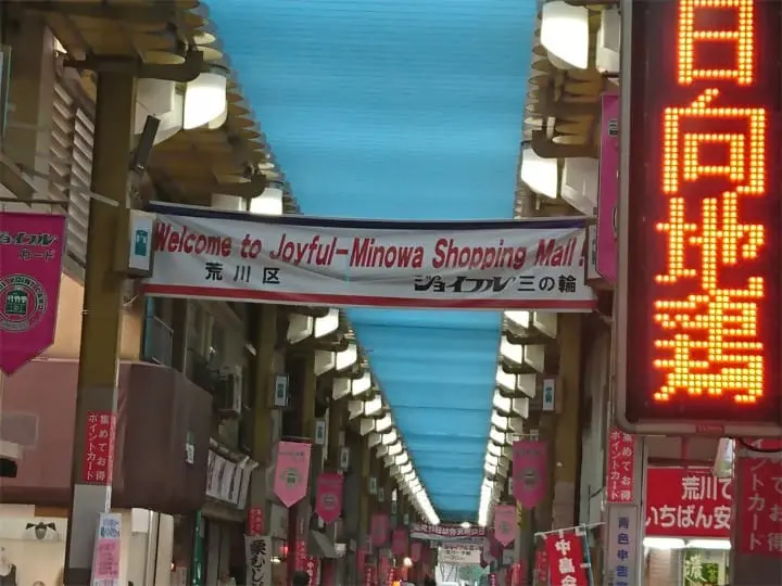 Beautiful Fall Roses - See Retro Tokyo On The Arakawa Line!