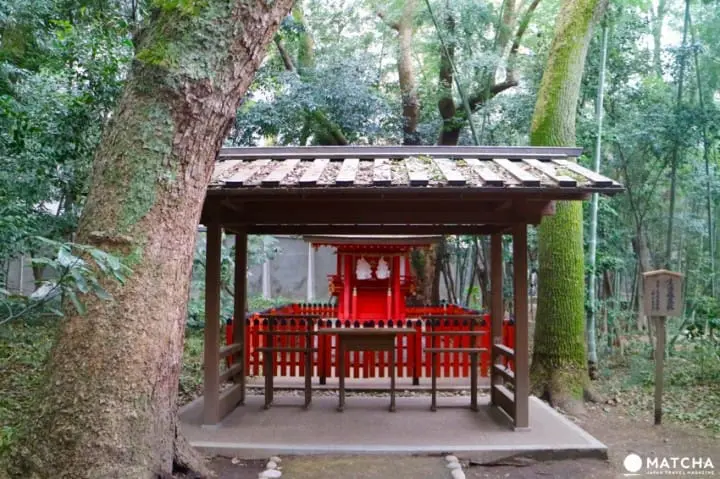 Ikuta Shrine: 5 Reasons to Visit This Power Spot in Kobe