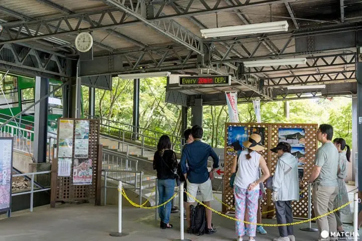 関東平野を一望！東京から日帰りで行ける山「筑波山」