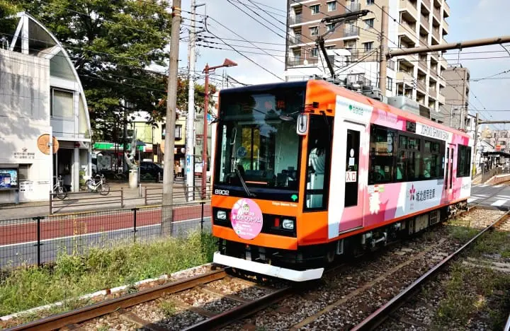 เที่ยวย้อนยุคหนึ่งวันในโตเกียวกับรถรางสายอาราคาวะ ชมกุหลาบสวยๆ ในฤดูใบไม้ร่วง