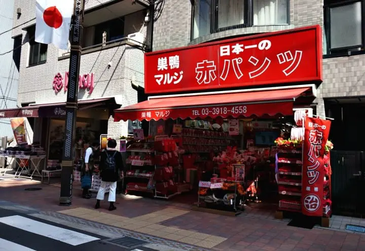 เที่ยวย้อนยุคหนึ่งวันในโตเกียวกับรถรางสายอาราคาวะ ชมกุหลาบสวยๆ ในฤดูใบไม้ร่วง