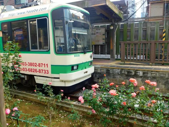Beautiful Fall Roses - See Retro Tokyo On The Toden Arakawa Line!