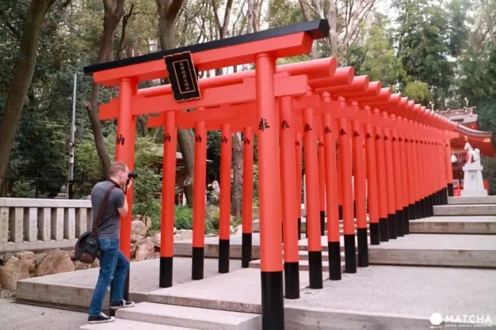 Ikuta Shrine: 5 Reasons to Visit This Power Spot in Kobe