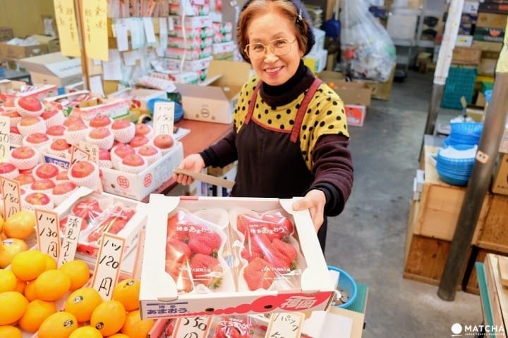 日本看什麼