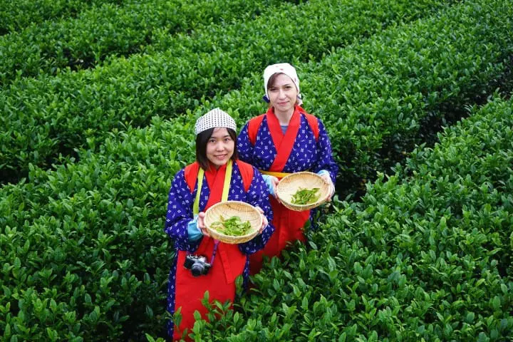 A Day Full Of Fun And Delicious Treats! Making The Most Of The Seibu 1Day Pass