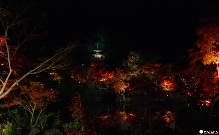 【京都】赏枫旺季时最快的移动方式！地铁东西线赏枫篇