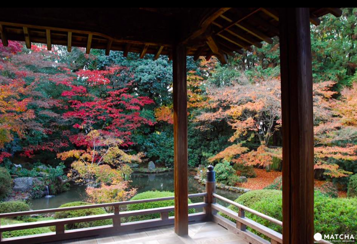 【京都】赏枫旺季时最快的移动方式！地铁东西线赏枫篇