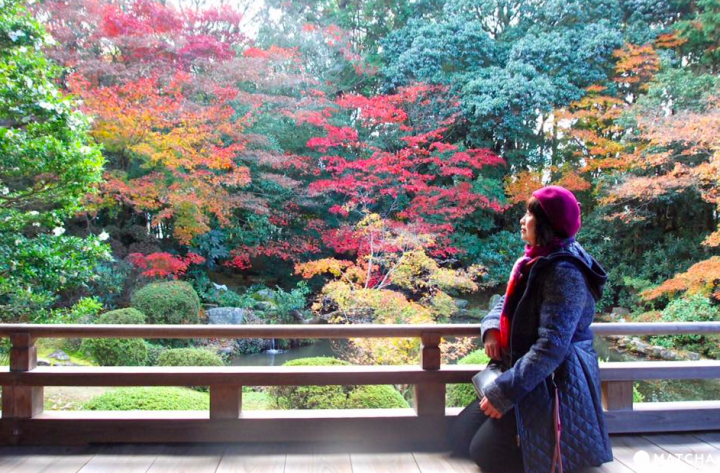 【京都】赏枫旺季时最快的移动方式！地铁东西线赏枫篇