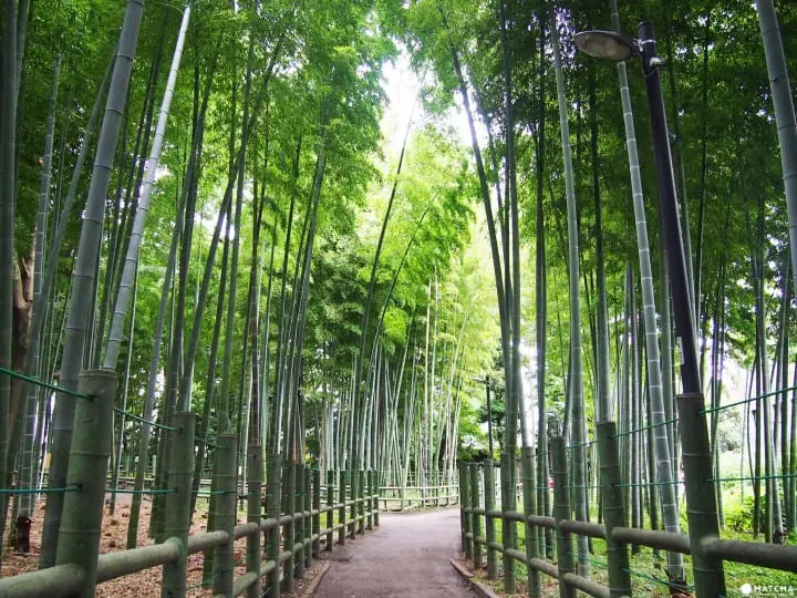 雀之宿綠地公園