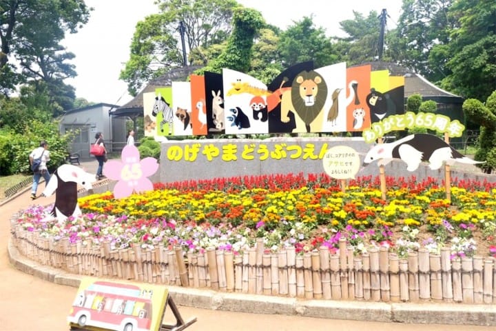 15 Fabulous (And Mostly Free!) Things To Do Yokohama