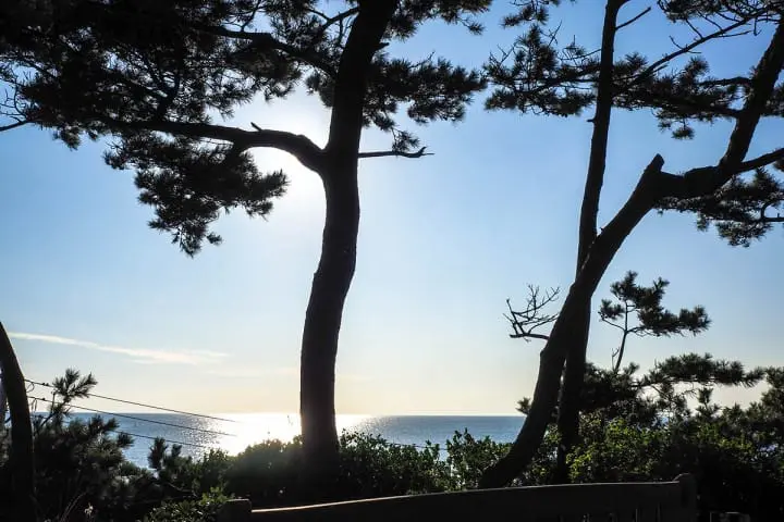 葉山女子旅套票 葉山潮騷庭園 海景