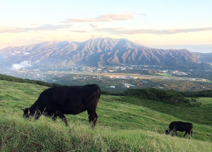 Hachijojima - A Picturesque Tokyo Island Just An Hour From Haneda Airport