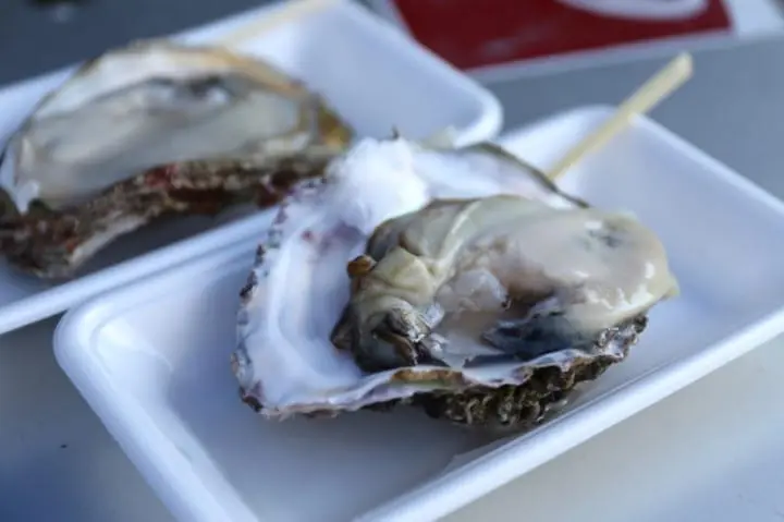 去吧！北信越三縣海陸空必玩體驗 (新潟縣篇 下)