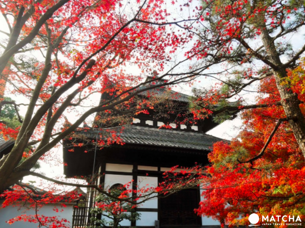 【关西】这样玩最划算！搭乘京坂电车从早到晚打卡、踩点、吃美食