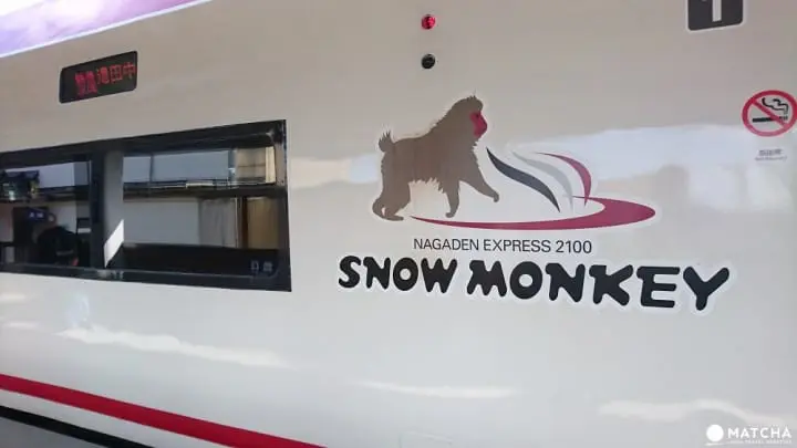 長野2100 snow monkey