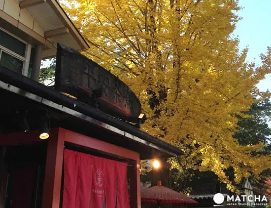 秋季限定!被金色銀杏覆蓋的老城市 京都銀杏名所推薦