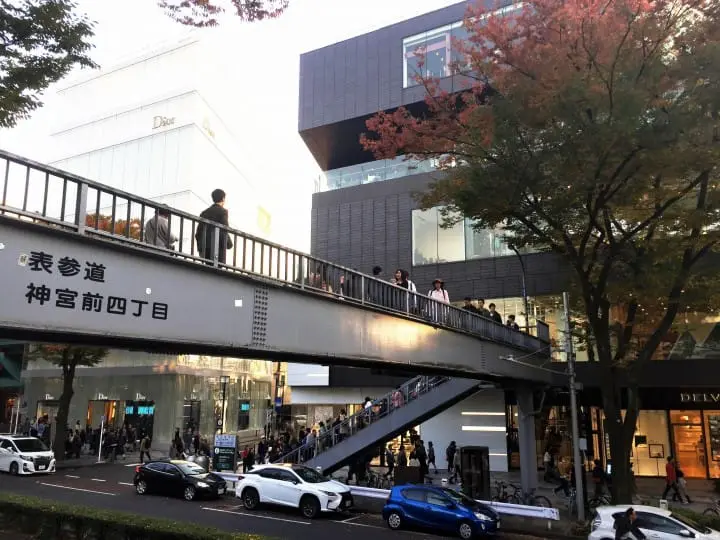 里原宿猫街，跟着抹茶从原宿散步到涩谷吧