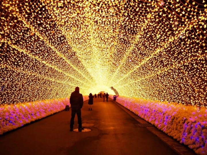名花之里
