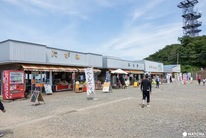 関東平野を一望！東京から日帰りで行ける山「筑波山」