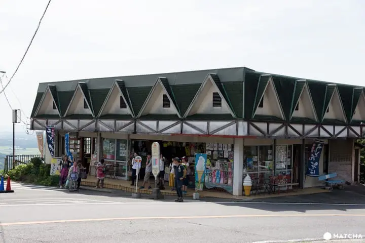 関東平野を一望！東京から日帰りで行ける山「筑波山」