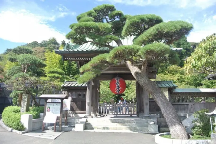 15 Seasonal And Year Long Things To Do In Kamakura