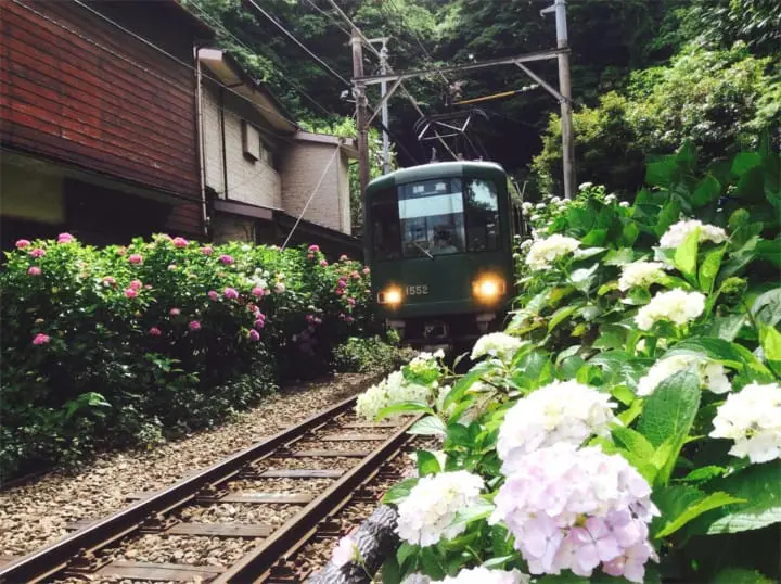 15 Seasonal And Year Long Things To Do In Kamakura