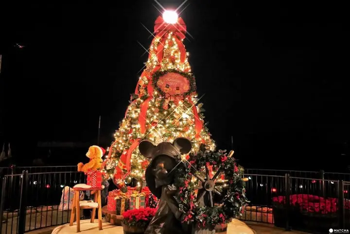 ケープコッドのツリー