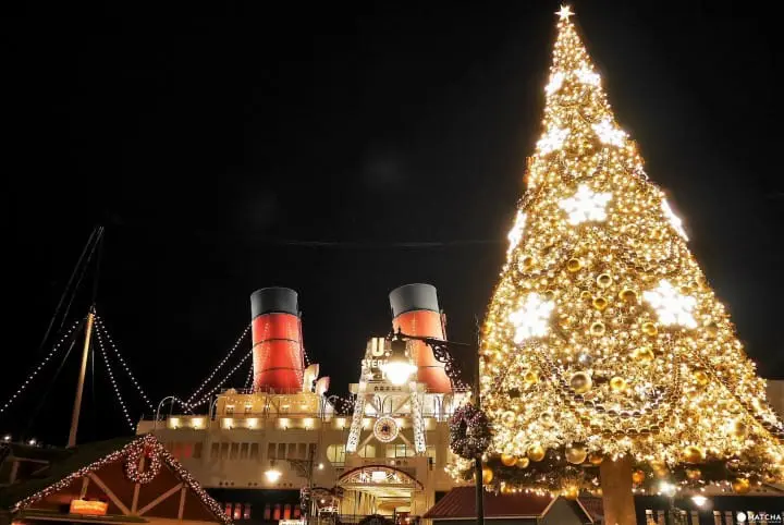 コロンビア号近くのツリー