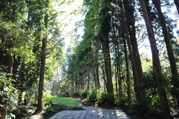 2017．六甲山艺术散步