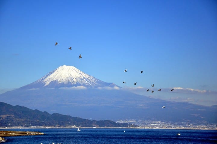 深入走訪東海地區!富士山・靜岡地區周遊券Mini三日券推薦行程
