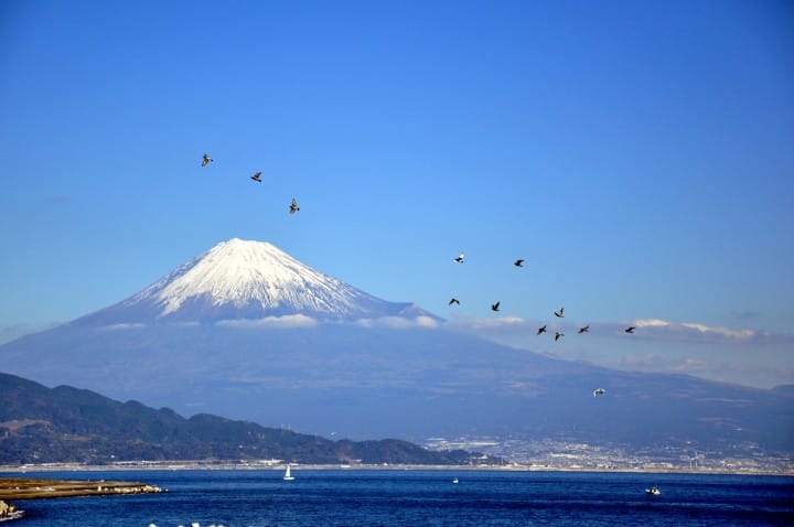 深入走訪東海地區！富士山・靜岡地區周遊券Mini三日券推薦行程