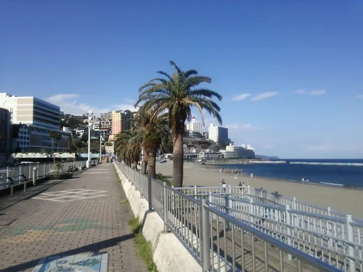 深入走访东海地区！富士山・静冈地区周游券Mini三日券推荐行程