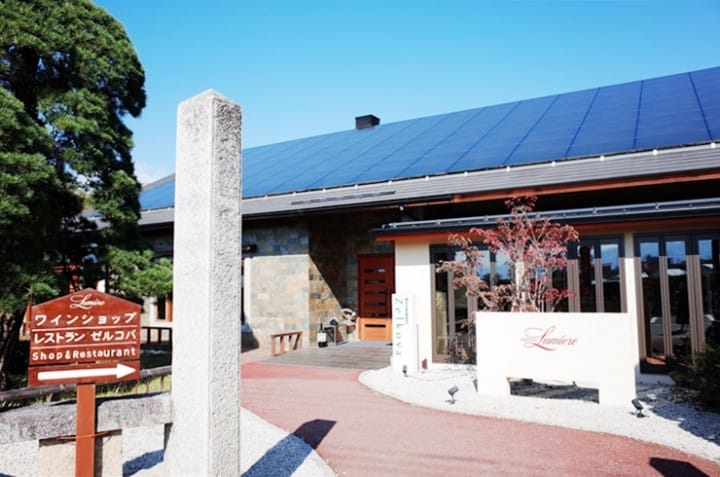 餐廳Zelkova