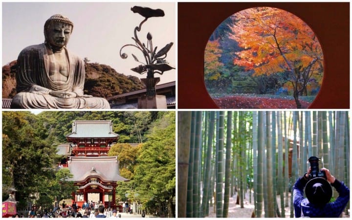 15 Things To Do In Kamakura For A Memorable Trip