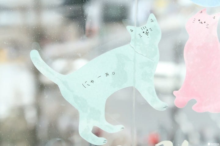 与猫咪共度时光,爱猫的你一定要来“猫咖啡 MOCHA 原宿店”