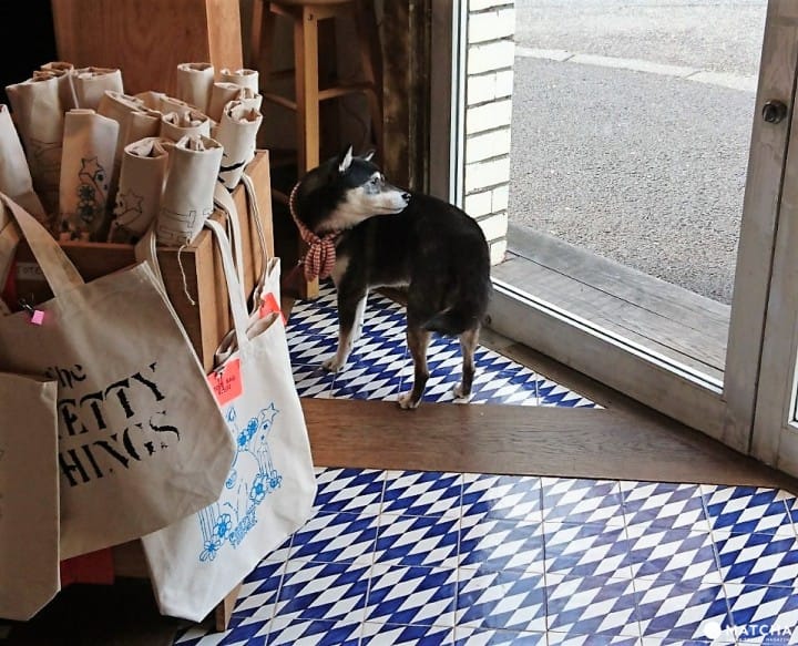 PRETTY THINS 犬