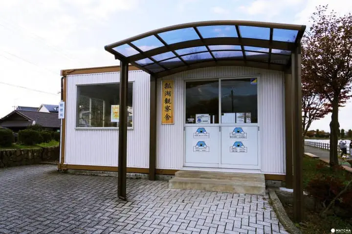 雪景色の中で白鳥と出会う旅