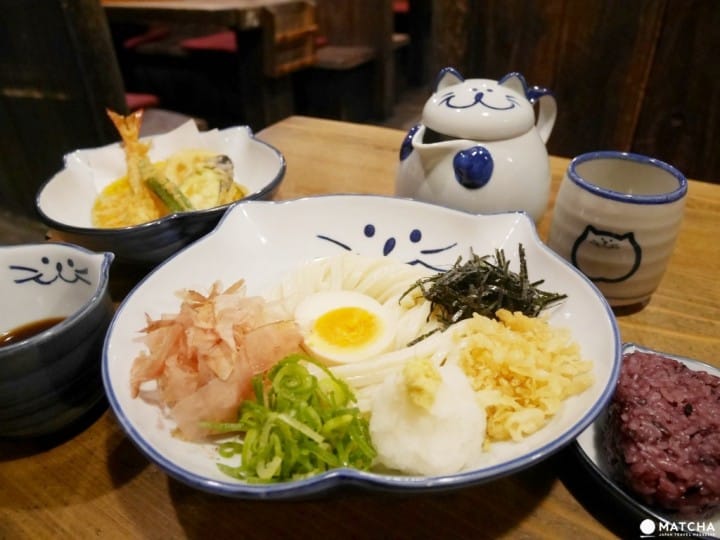 のらやnoraya貓咪烏龍麵
