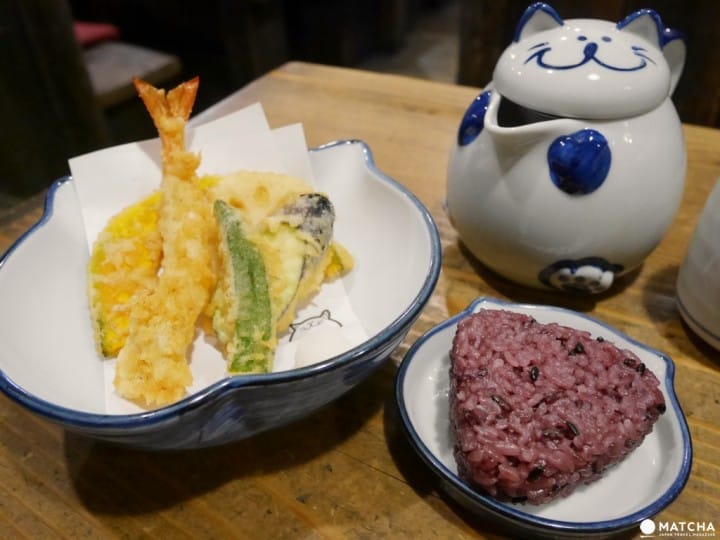 のらやnoraya貓咪烏龍麵