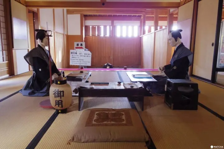 雪景色の中で白鳥と出会う旅