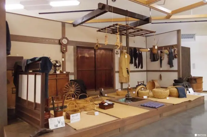 雪景色の中で白鳥と出会う旅