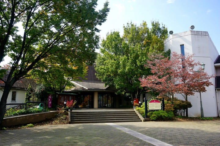Discover Japan's Unique Wine Culture - A Day Trip To Koshu