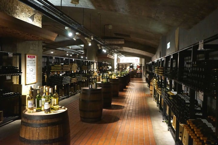 Discover Japan's Unique Wine Culture - A Day Trip To Koshu