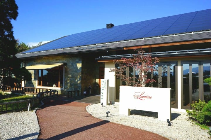 Discover Japan's Unique Wine Culture - A Day Trip To Koshu