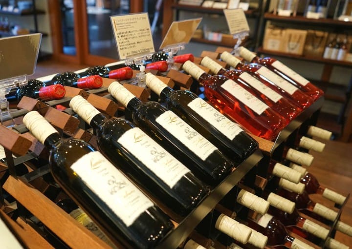 Discover Japan's Unique Wine Culture - A Day Trip To Koshu