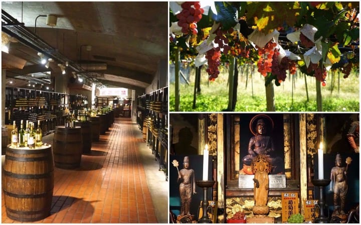 Discover Japan's Wine Culture In Koshu - With The JR TOKYO Wide Pass