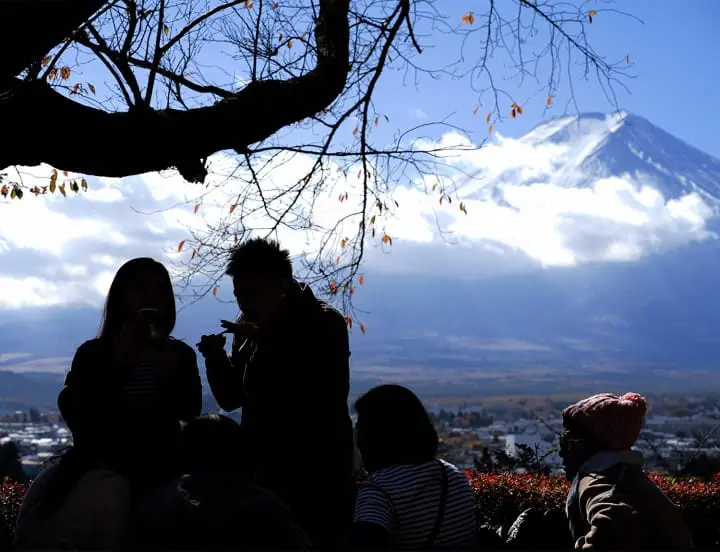 Fall in love with Mt Fuji