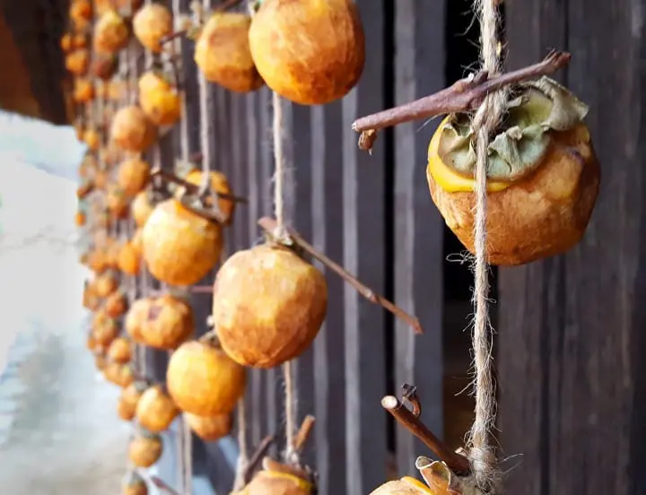 Fall in love with Mt Fuji