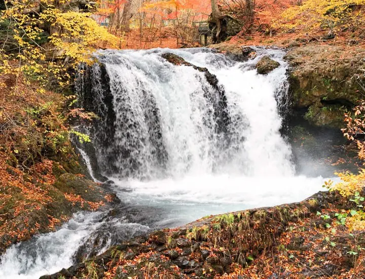 Fall in love with Mt Fuji